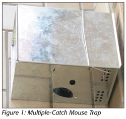 Multiple-Catch Mouse Trap