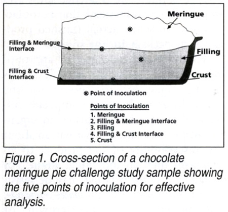 Cross-section of a chocolate merinque pie challenge study sample showing the five points of inoculation for effective analysis