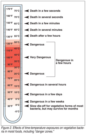 Salmonella Temperature Chart