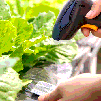  Traceability Progress in the Leafy Greens Sector 